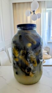 PXL_20250911_0719470542-169x300 Siła naturalnych probiotyków